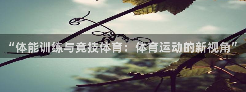 “体能训练与竞技体育：体育运动的新视角”