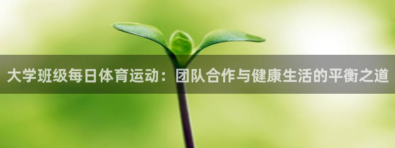 大学班级每日体育运动：团队合作与健康生活的平衡之道