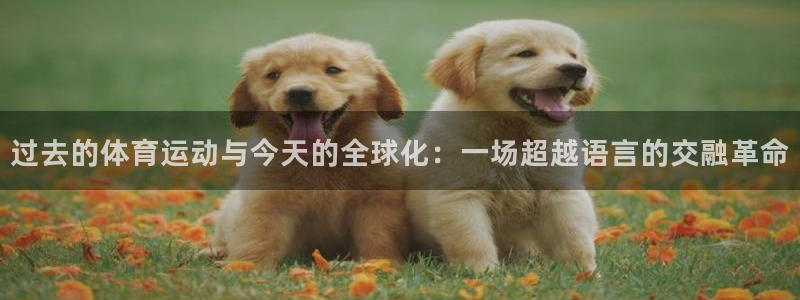 过去的体育运动与今天的全球化：一场超越语言的交融革命