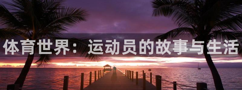 体育世界：运动员的故事与生活