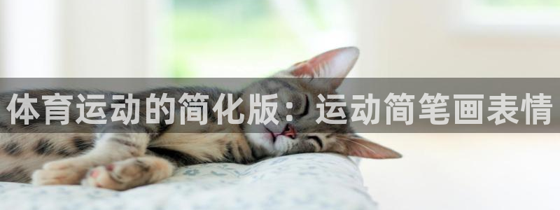 体育运动的简化版：运动简笔画表情