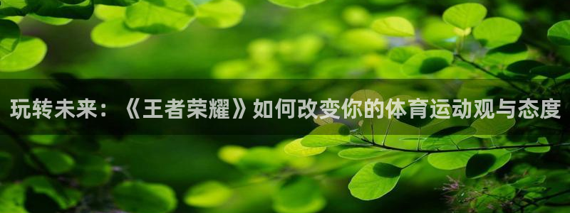 玩转未来：《王者荣耀》如何改变你的体育运动观与态度