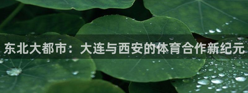 东北大都市：大连与西安的体育合作新纪元