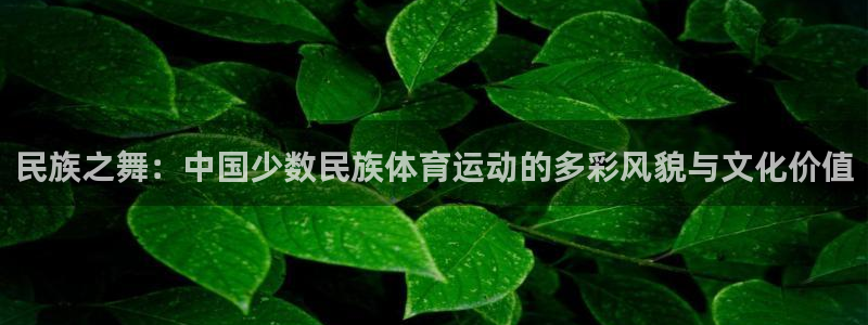 民族之舞：中国少数民族体育运动的多彩风貌与文化价值