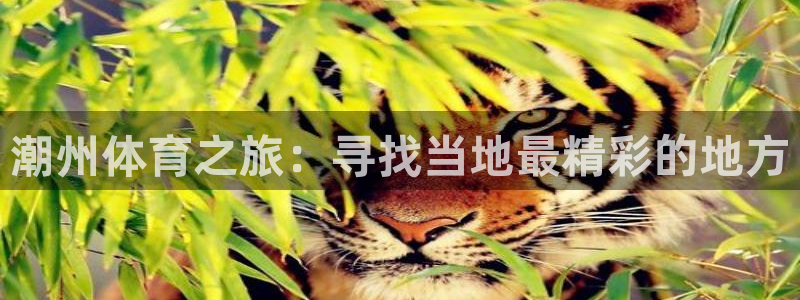 潮州体育之旅：寻找当地最精彩的地方