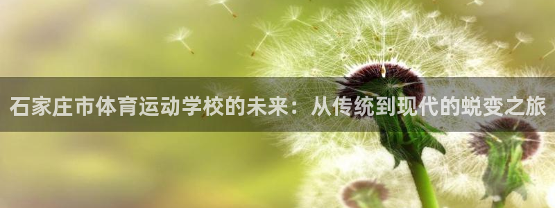 石家庄市体育运动学校的未来：从传统到现代的蜕变之旅