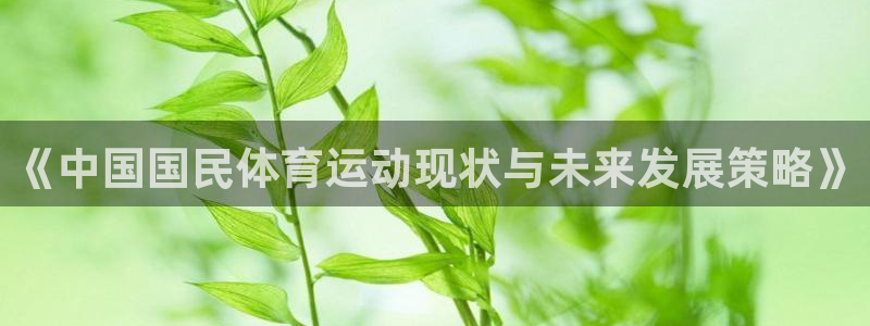 《中国国民体育运动现状与未来发展策略》