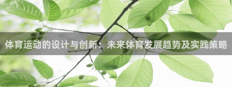 体育运动的设计与创新：未来体育发展趋势及实践策略