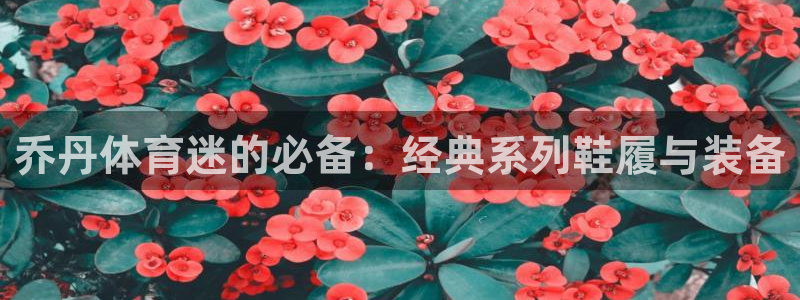 乔丹体育迷的必备：经典系列鞋履与装备