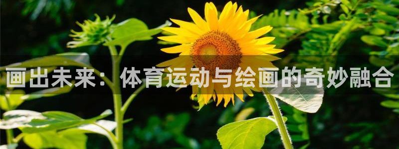 画出未来：体育运动与绘画的奇妙融合