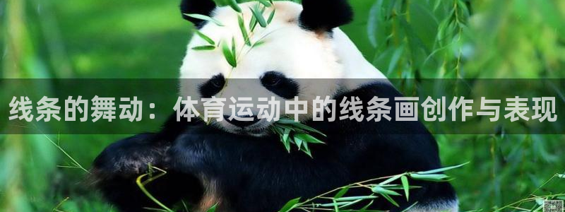 线条的舞动：体育运动中的线条画创作与表现